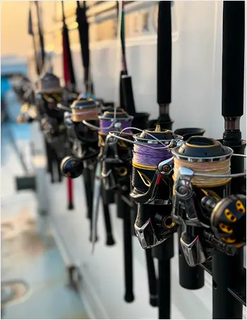 釣行メニュー平政キャスティング